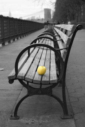 apple on a NYC park bench