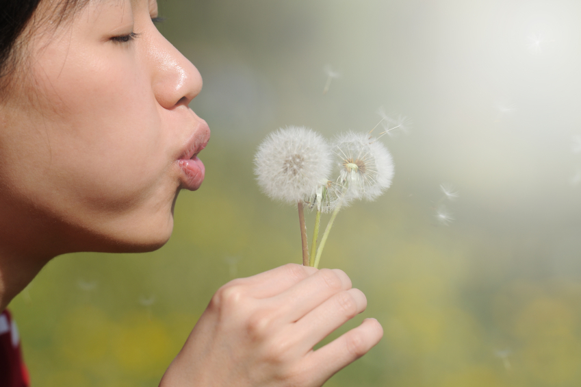Image of woman blowing dandelion 05-13-10 © PhotoTalk