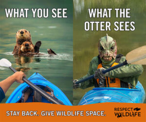 meme - what the otter sees
