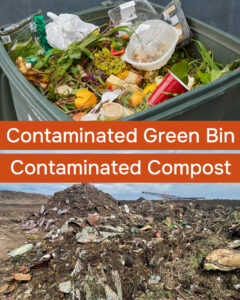 Contaminated green bin means contaminated compost